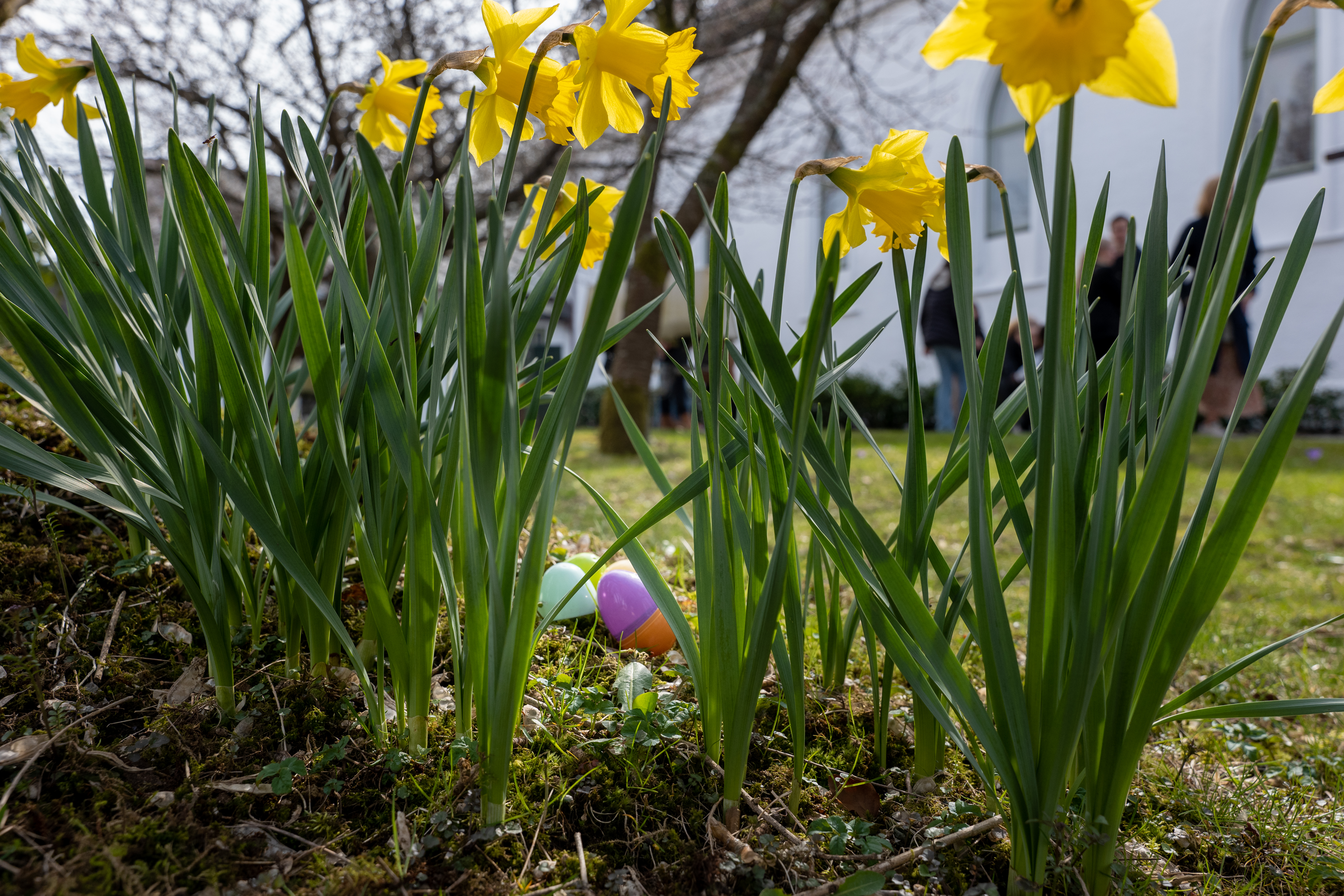 Påsken 2026 i Våler og Svinndal kirker