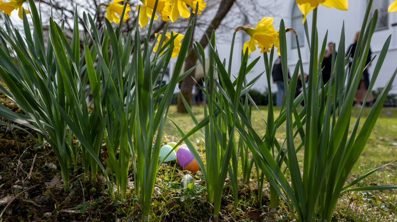 Påsken 2026 i Våler og Svinndal kirker