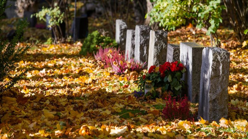 Dialogmøte med tros- og livssynssamfunn