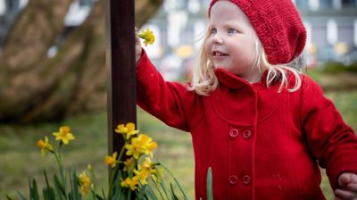 Påskeliljer og kors Foto: Den Norske kirke
