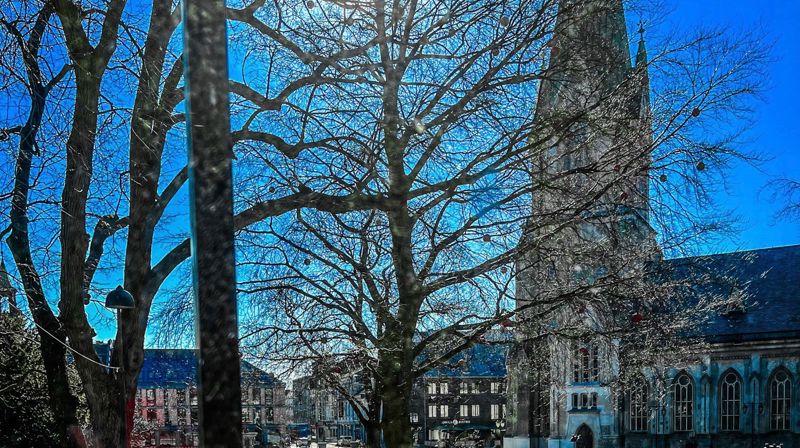 Nyhetsbrev fra Agder og Telemark bispedømme