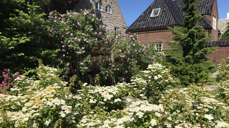 Sommerhilsen fra biskopen