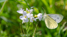 Seminaret om selvmordsforebygging blir i Fredrikstad 21.januar 2021.