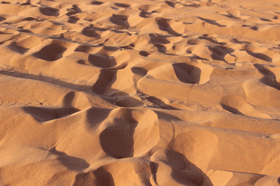 I de vise menns fotspor er en annerledes reise til Det hellige land.