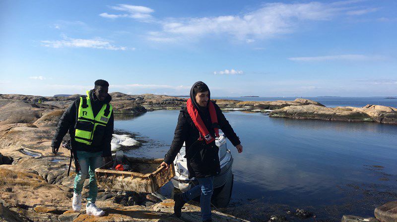 Skaperverket våkner