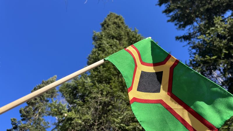 21. juni er Skogfinnenes dag