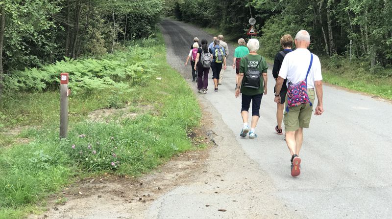 Pilegrimsvandring i Borg bispedømme