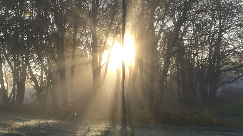 "Vi erfarer at det er noe som er større enn oss selv. Vi opplever at mange er enige i det, selv om ikke alle våger å navngi det som Gud." Foto: Ingvild Svalastoga