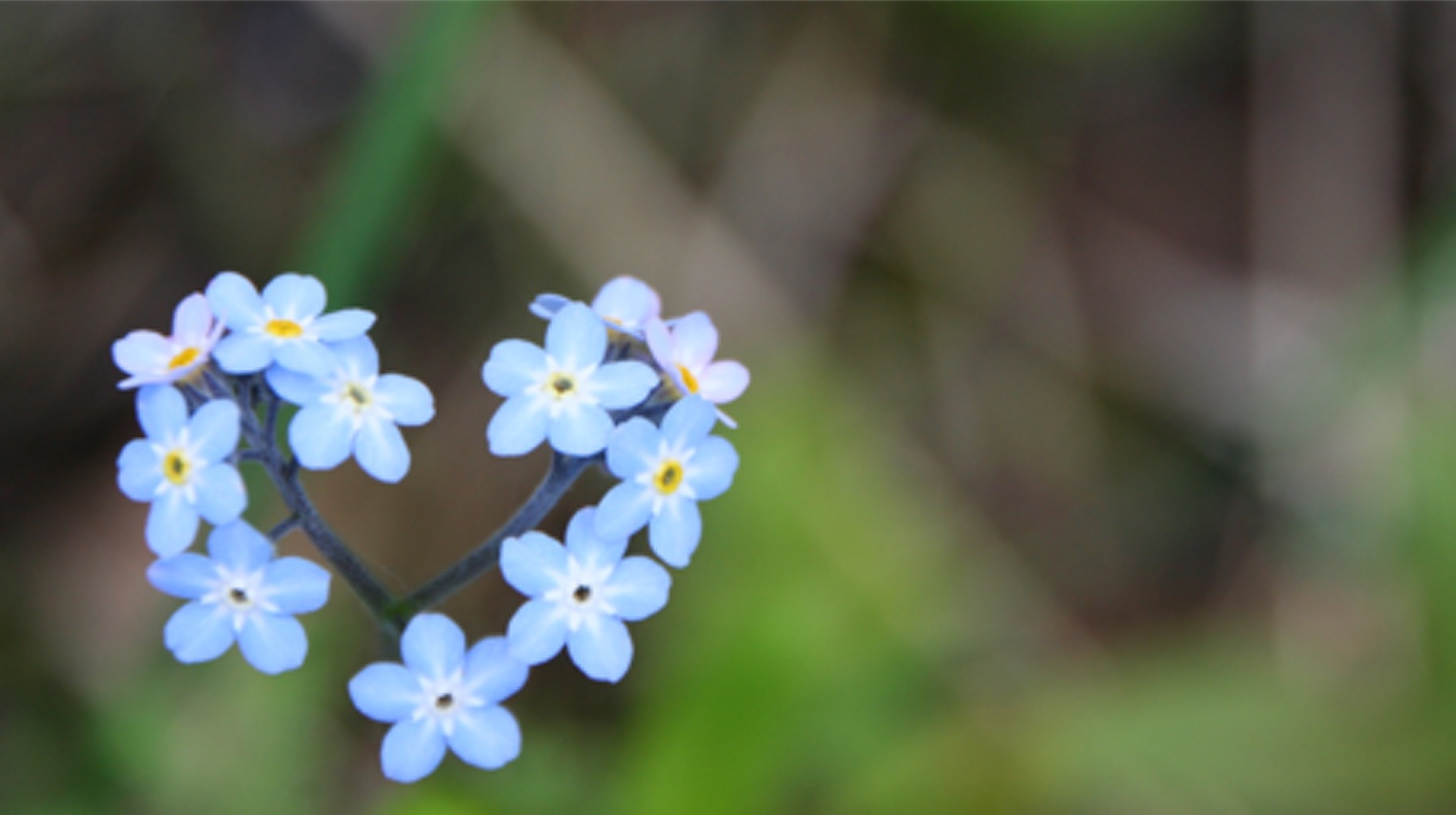 Foto: Halvard Bjørkås