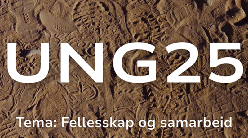 UNG25 - Fellesskap og samarbeid