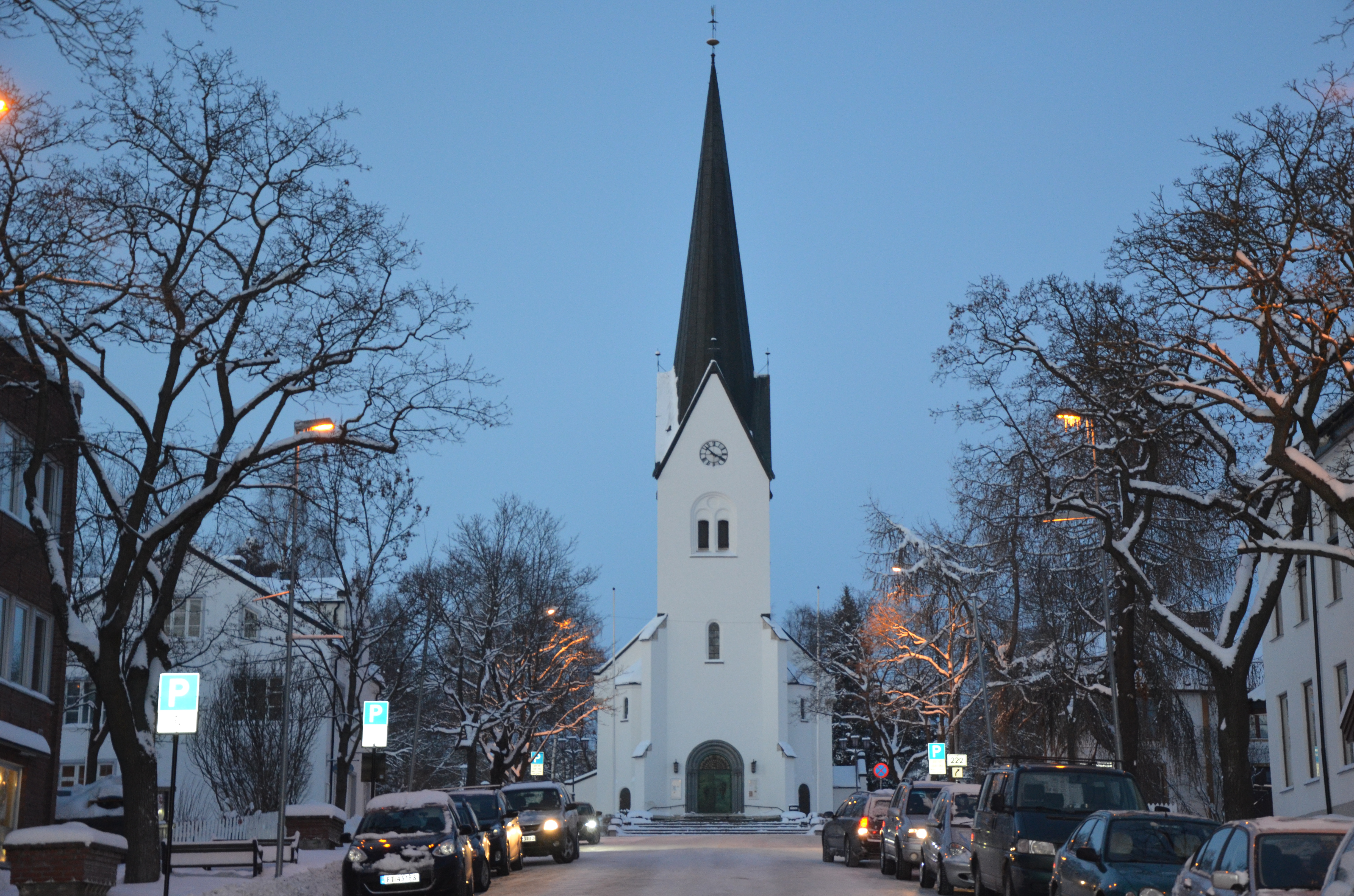 Hamar domkirke. Foto: Liv Torhild Br&#229;then