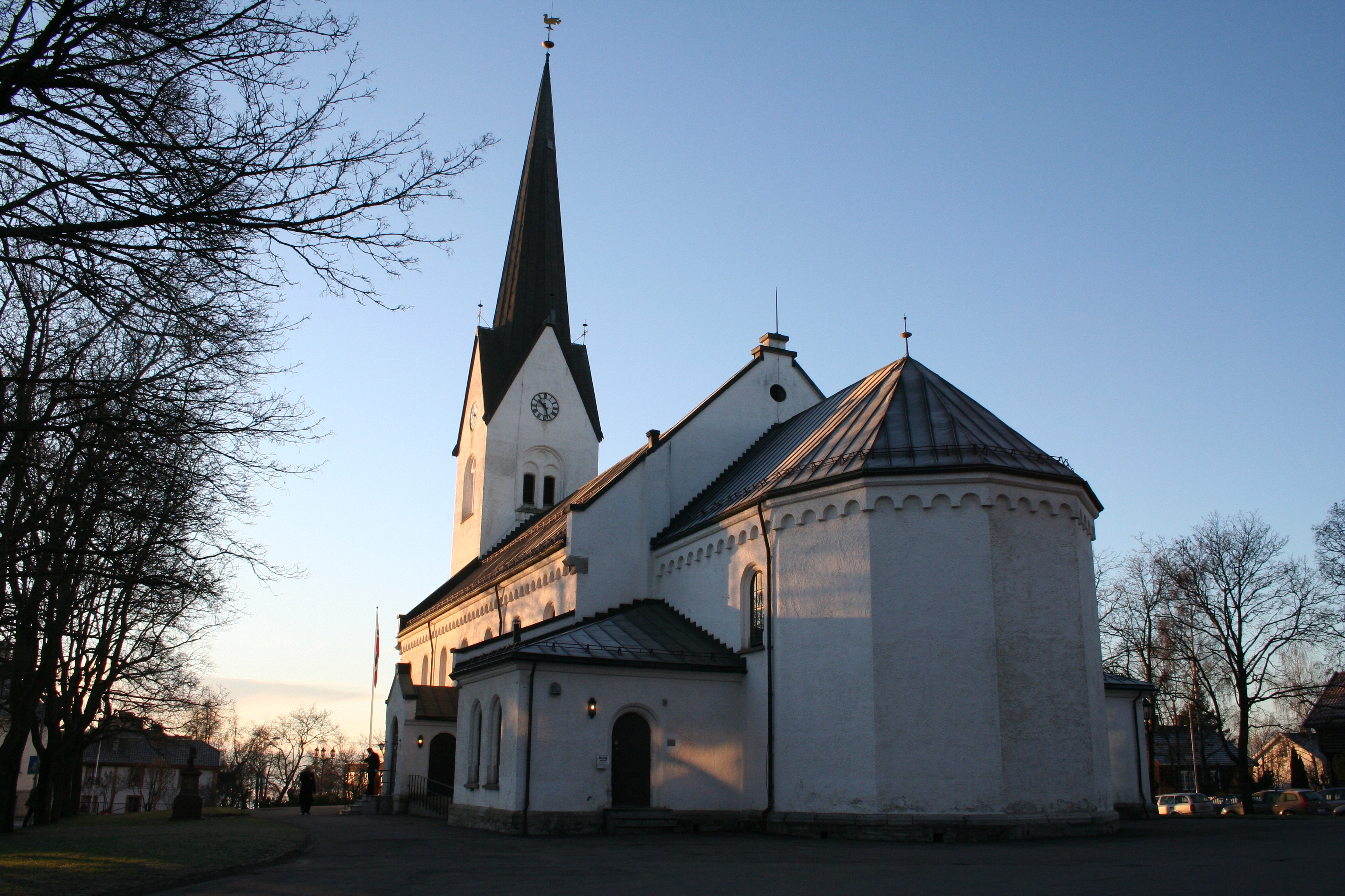 Hamar domkirke er hovedkirke i Hamar bispedømme, og, sammen med Storhamar kirke (1975), menighetskirke for Hamar menighet. Domkirken sto ferdig i 1866. Kirken har langplan og er bygget i mur. Arkitekt er Herman E. Schirmer. Kirken har vernestatus listeført hos Riksantikvaren. Kilde: kirkesok.no.