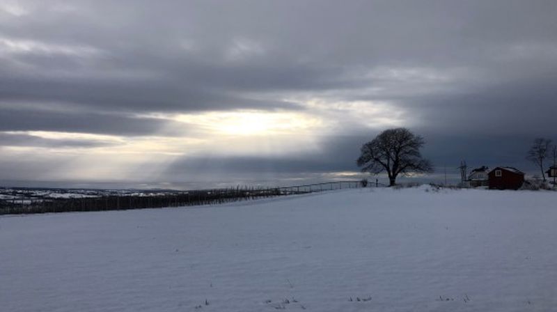 Lyset skinner i mørket, og mørket har ikke overvunnet det. Joh. 1:5 Foto: Jorun Vang