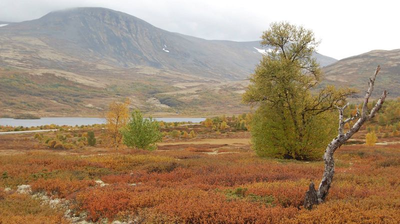 Hverdagstanker før søndagen: "Et varmhjertet menneske"