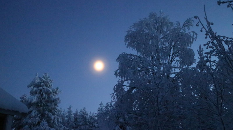 Illustrasjonsfoto fra Pixabay.com