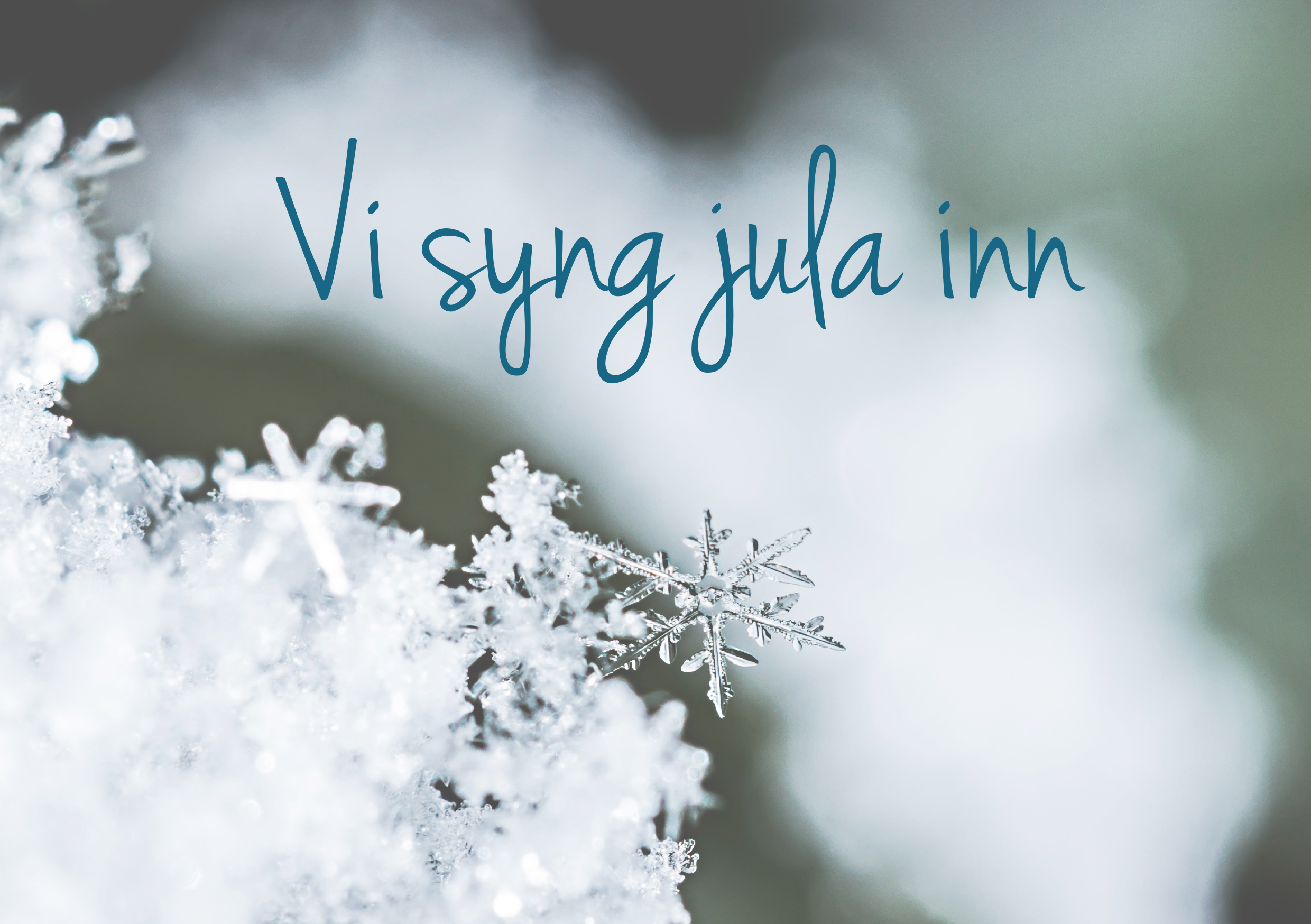 Søndag 20. desember kl. 16 inviterer biskop Ingeborg Midttømme alle i Møre og Romsdal til å være med og synge Deilig er jorden, fra hustrappa, verandaen, stua eller et annet sted... – Sangen setter ord på håpet om at det skal komme nye tider og bringer ord om fred, sier biskopen. 