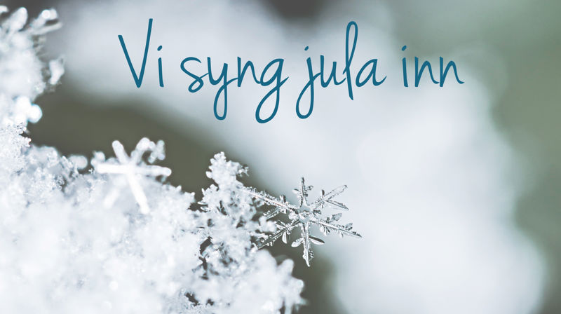 Søndag 20. desember kl. 16 inviterer biskop Ingeborg Midttømme alle i Møre og Romsdal til å være med og synge Deilig er jorden, fra hustrappa, verandaen, stua eller et annet sted... – Sangen setter ord på håpet om at det skal komme nye tider og bringer ord om fred, sier biskopen.