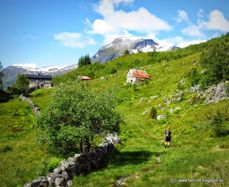 Hausetsetra, nydeleg lagt i øvre del av Møllsbygda, med flott utsikt over fjorden, er staden for Verdsarvgudstenesta 21. juni 2020. Foto: www.fjell-luft-blogspot.no 