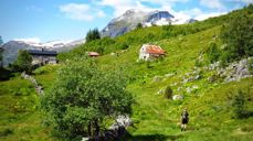 Hausetsetra, nydeleg lagt i øvre del av Møllsbygda, med flott utsikt over fjorden, er staden for Verdsarvgudstenesta 21. juni 2020. Foto: www.fjell-luft-blogspot.no