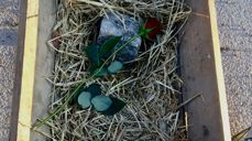 En enkel krybbe konkretiserer og synliggjør julens budskap.