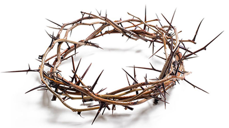 Fire fakkeltog i Møre