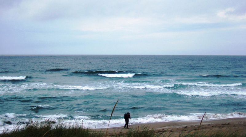 Pilegrim i troens hus