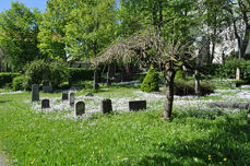 Bilde fra domkirkegården i Trondheim. (Foto: Pawel Szubert)