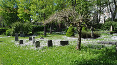 Bilde fra domkirkegården i Trondheim. (Foto: Pawel Szubert)