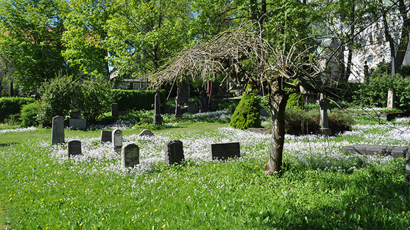 Bilde fra domkirkegården i Trondheim. (Foto: Pawel Szubert)