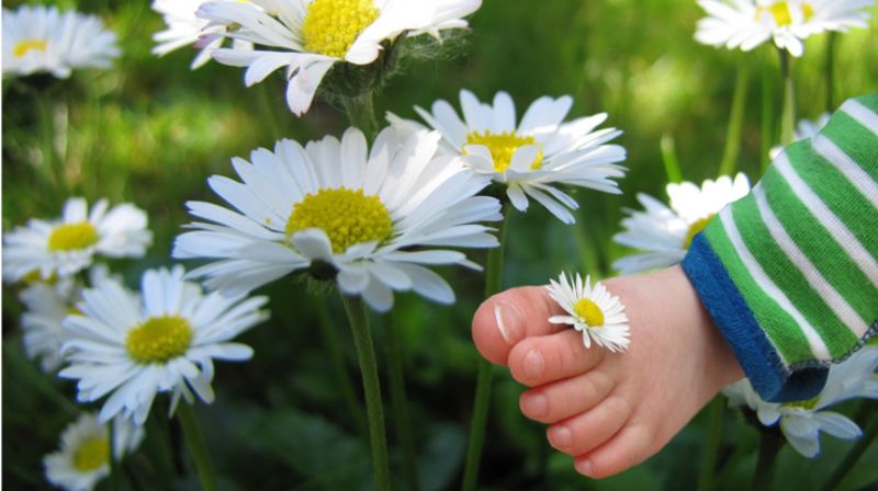 Skapertro og kristent menneskesyn