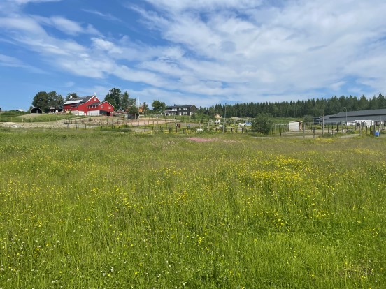 Gård på pilegrimsvandring.jpg