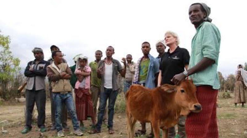 I kriser er vann kristisk. Kirkens Nødhjelps fasteaksjon 2016