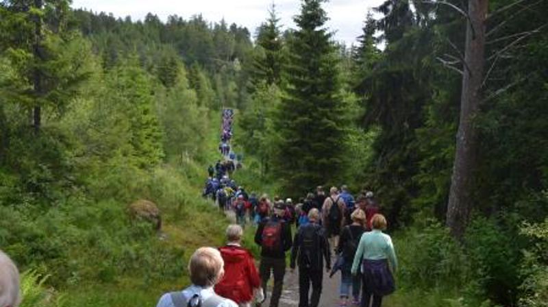 350 Pilegrimer mot Olavsfestdagene