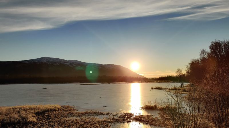 Biskop Olavs juleandakt