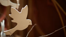 Håpsdue - Foto: Lars Verket