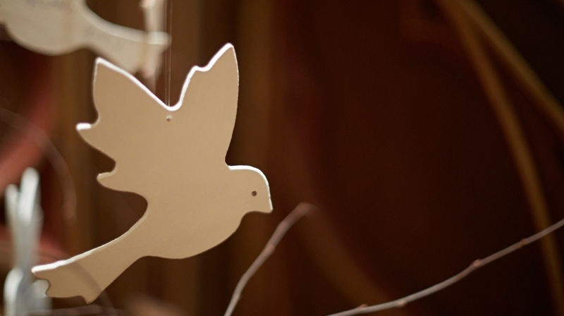 Håpsdue. Foto: Lars Verket