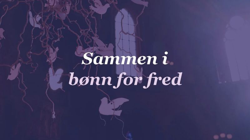 Domkirkene samles i bønn om fred