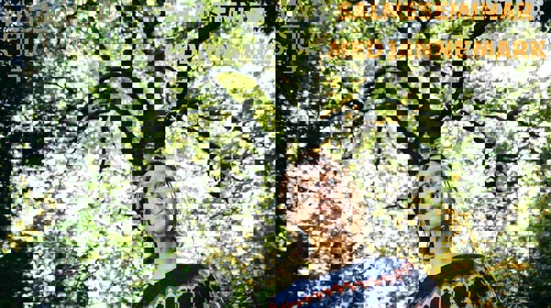 Majorastua+ inviterer til salmeseminar med salmedikter og jazzanger Janne Mark.