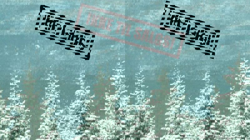 Inspirasjonssamling grønn kirke