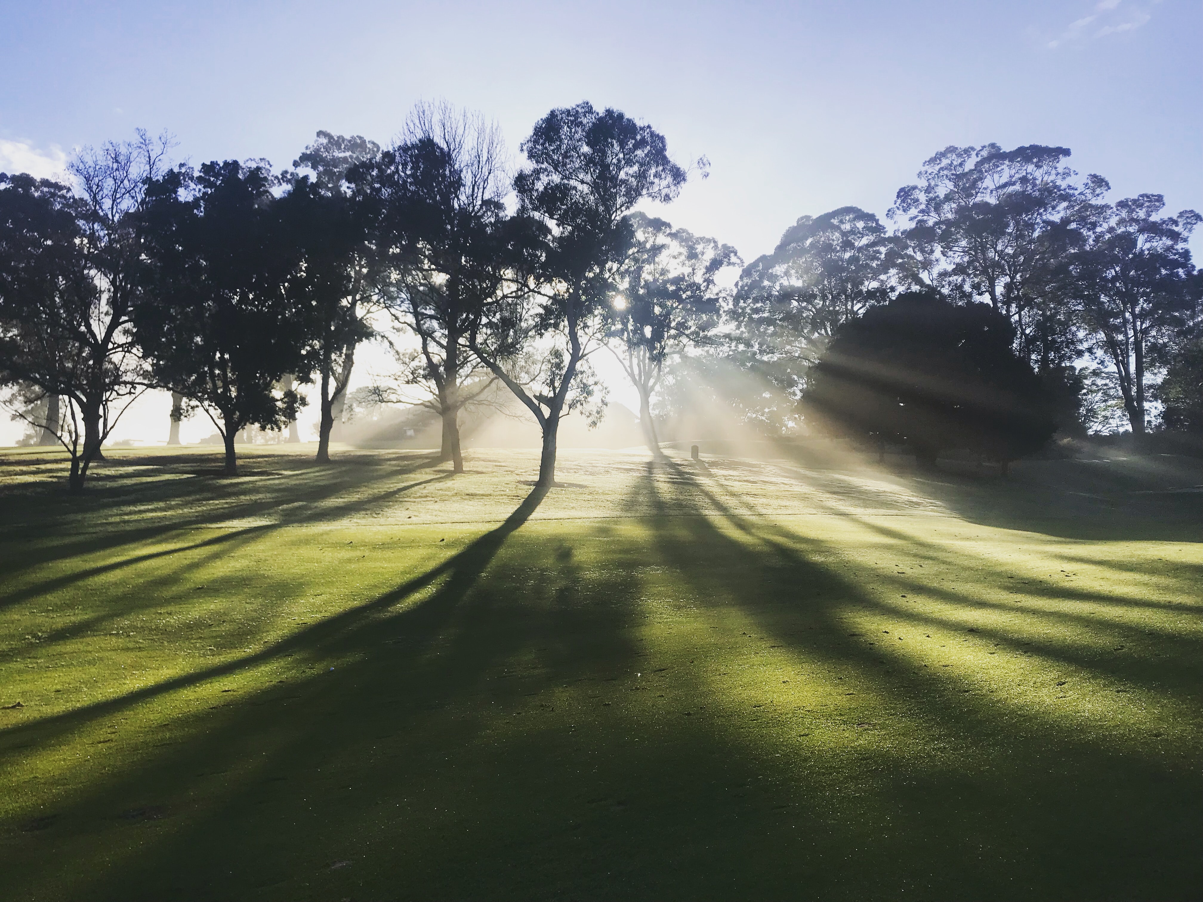 Foto: Mandy Henry, unsplash.com