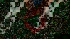 Foto: Noah Buscher, Unsplash