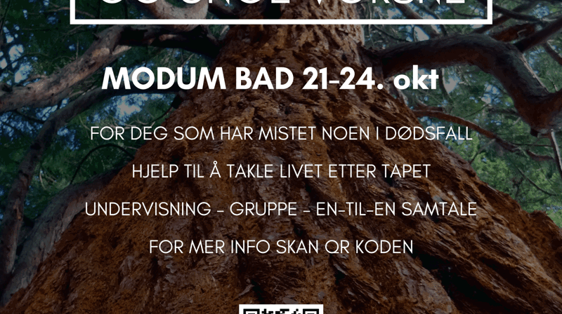 Sorgtilbud for studenter og unge voksne