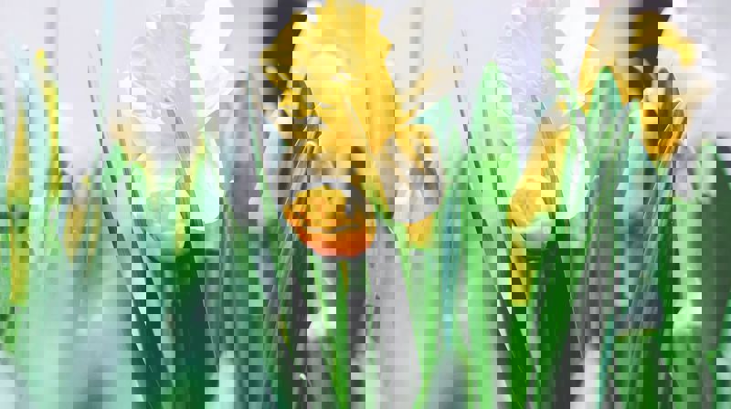 Foto: Tim Gouw, unsplash.com