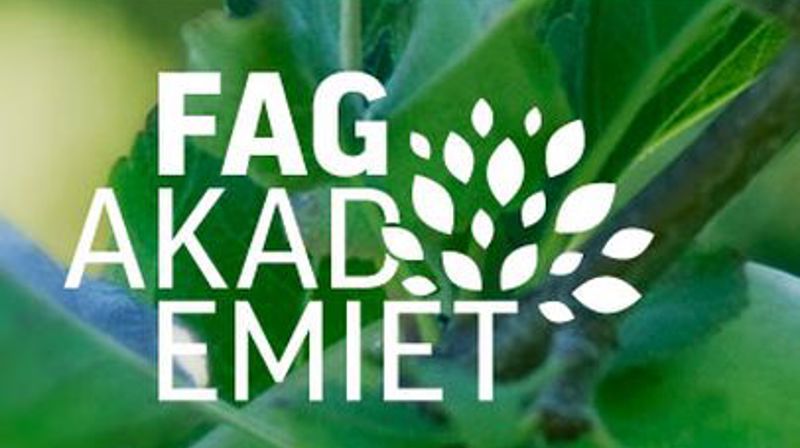 HMS grunnopplæring for kirken - 40 timer