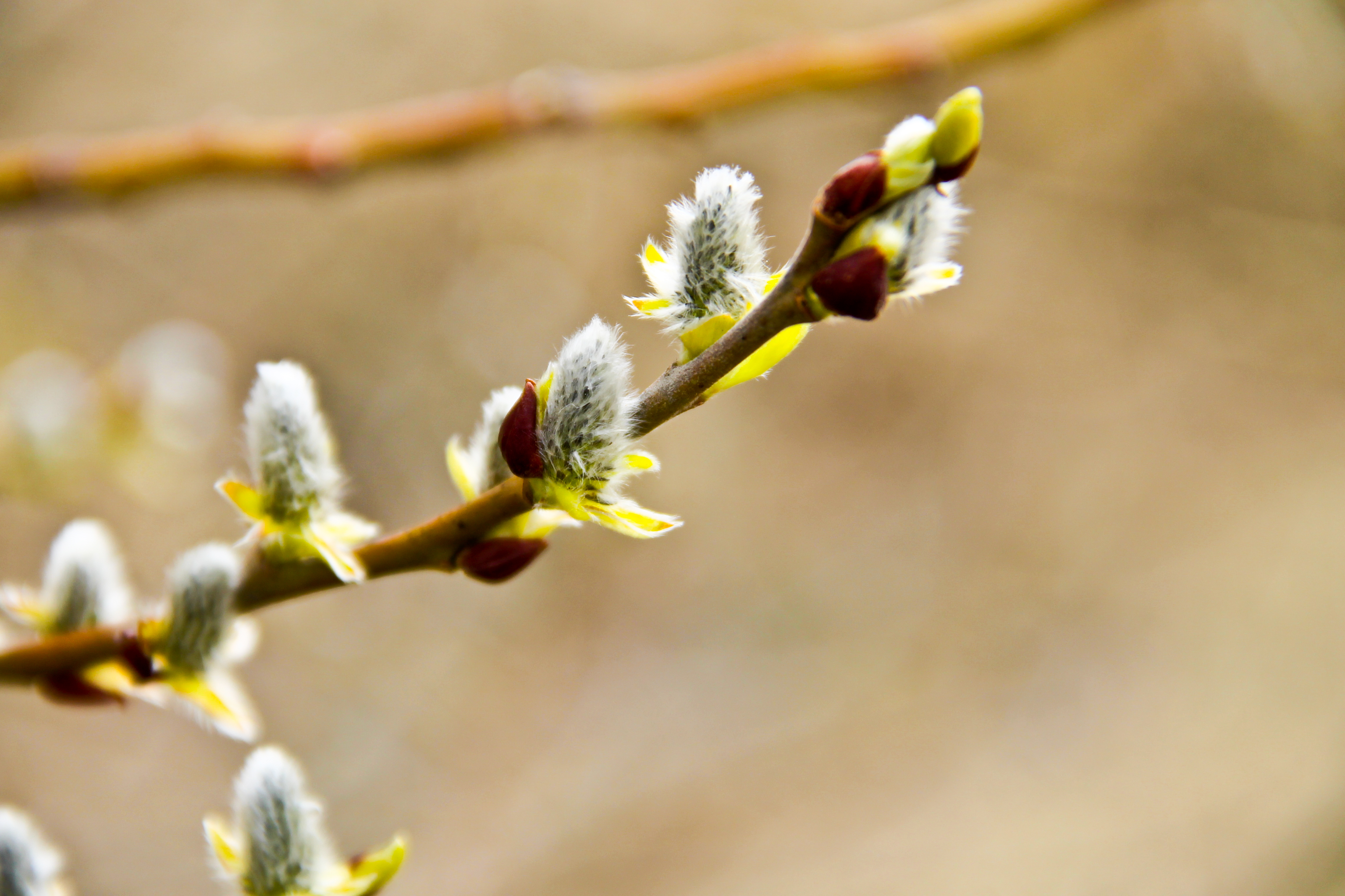Om fellesskap – skjærtorsdag