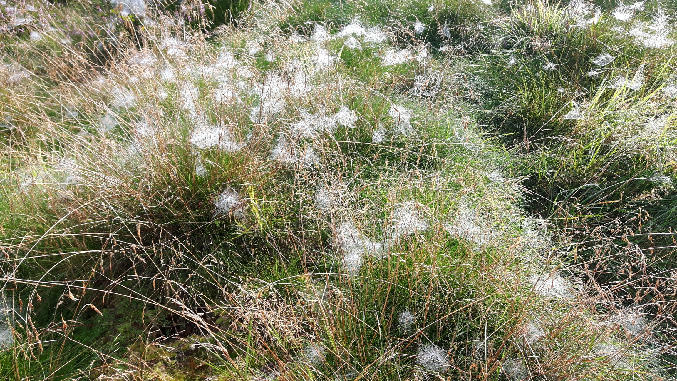 Med midler fra K-stud spinner vi nettverk av kunnskap over hele landet. foto: Solveig Seines