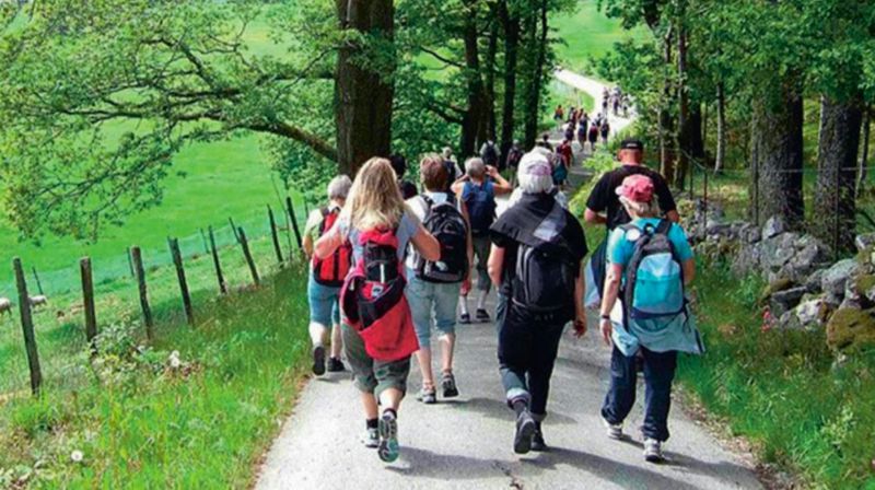 Kirken og samfunnet - hvilken rolle kan pilegrimsarbeidet ha?