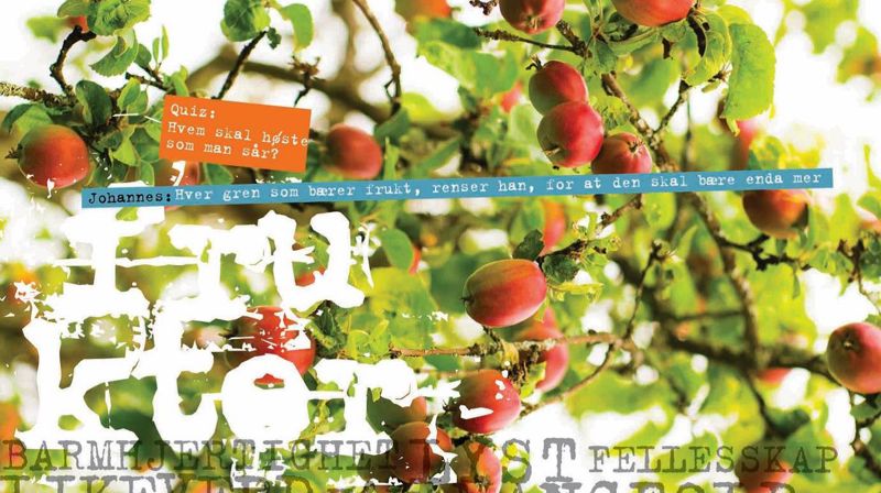 Årsrapport for Stavanger bispedømme 2015