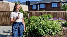 Sist uke inviterte prostidiakon Janne Kristine Eng til musikalske sommermøter i sansehagene på Vea sykehjem. 