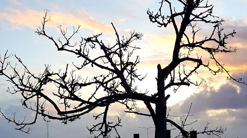 Påsken rommer både mørke og lys